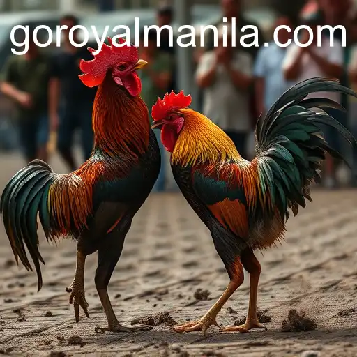 The Controversial Tradition of Cockfighting and its Cultural Legacy